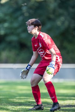 Bild 251 - wBJ SV Henstedt Ulzburg - FSG Oldendorf Itzehoe : Ergebnis: 2:5